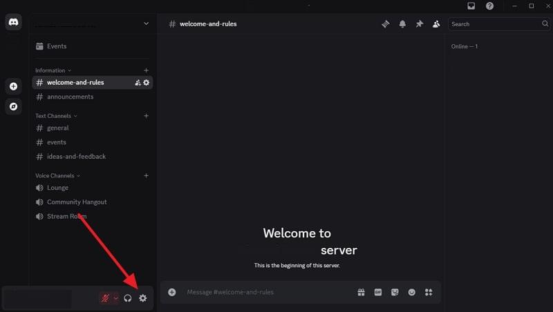 tap gear icon for discord settings